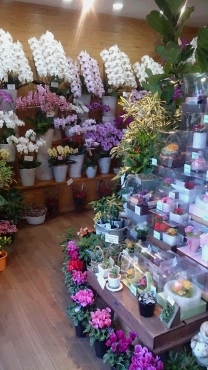 福岡県行橋市の花屋 フラワーフレンドショップ エフツーにフラワーギフトはお任せください 当店は 安心と信頼の花キューピット加盟店です 花キューピットタウン